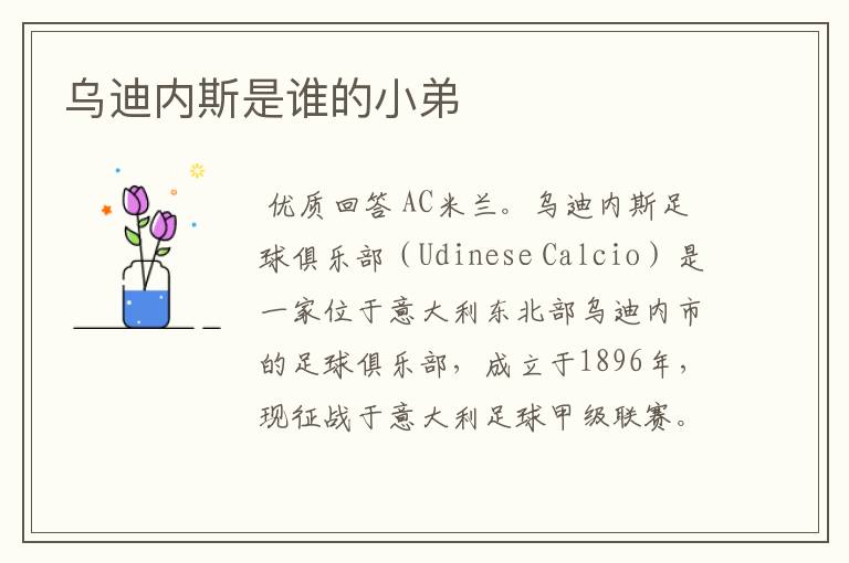乌迪内斯是谁的小弟