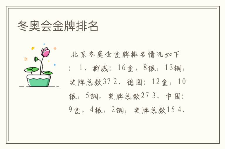 冬奥会金牌排名
