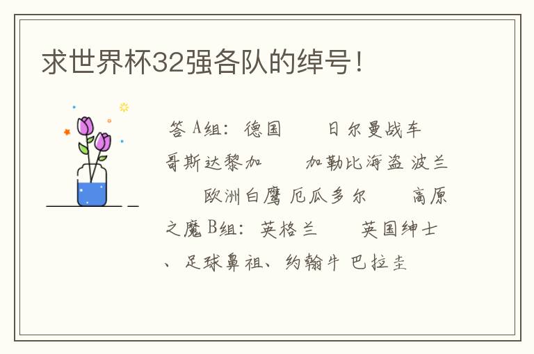 求世界杯32强各队的绰号!