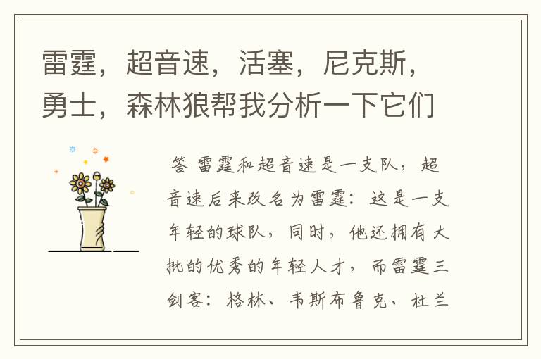 雷霆,超音速,活塞,尼克斯,勇士,森林狼帮我分析一下它们的前景,谁最强?