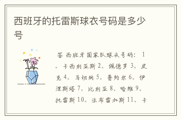 西班牙的托雷斯球衣号码是多少号