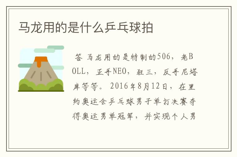 马龙用的是什么乒乓球拍