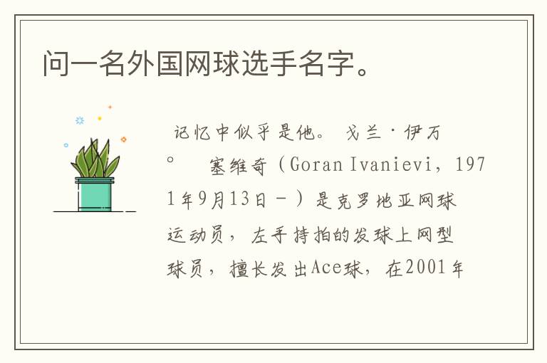问一名外国网球选手名字。