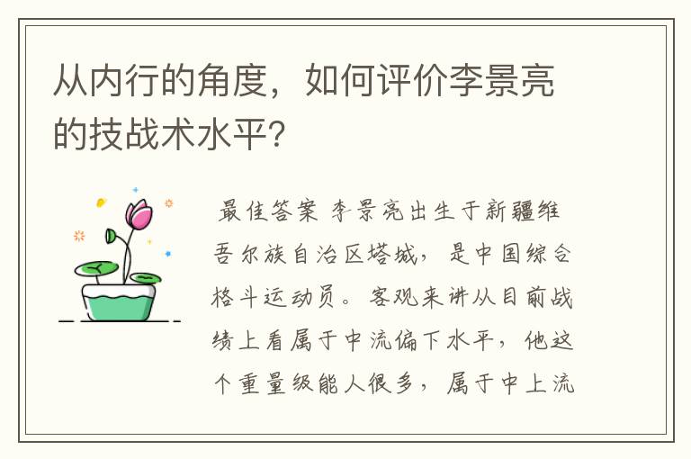 从内行的角度,如何评价李景亮的技战术水平?