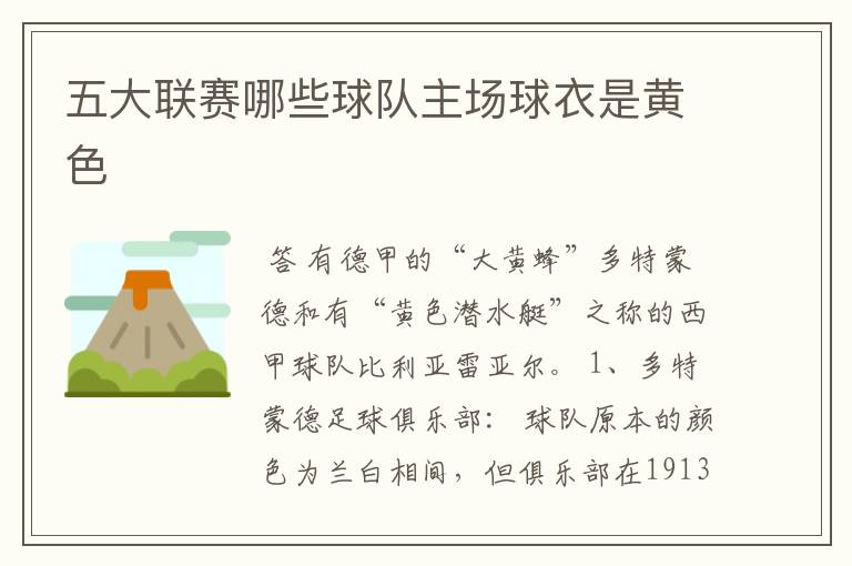 五大联赛哪些球队主场球衣是黄色