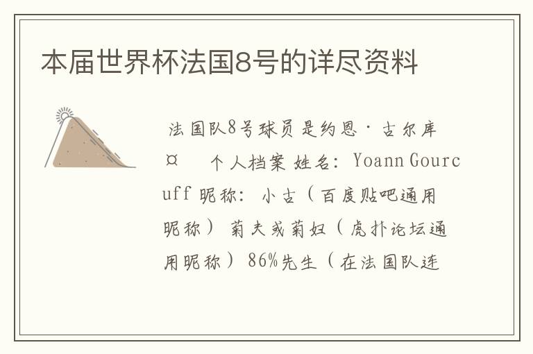 本届世界杯法国8号的详尽资料
