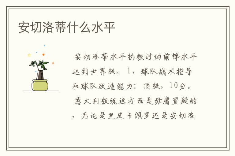 安切洛蒂什么水平