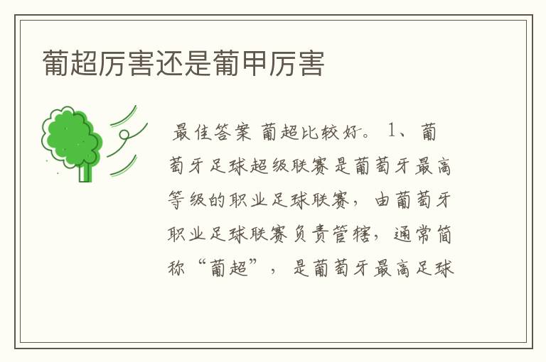 葡超厉害还是葡甲厉害