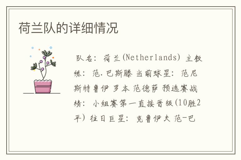 荷兰队的详细情况