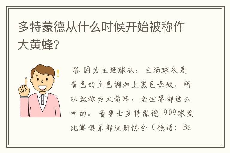 多特蒙德从什么时候开始被称作大黄蜂?