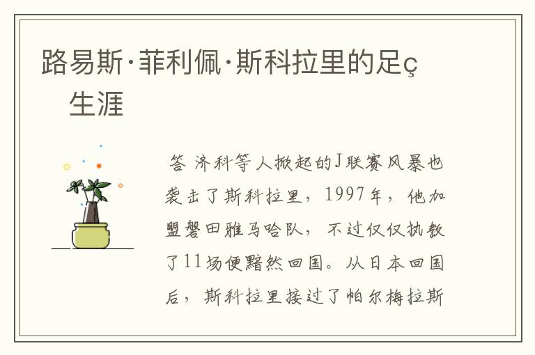 路易斯·菲利佩·斯科拉里的足球生涯