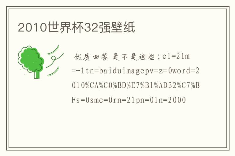 2010世界杯32强壁纸