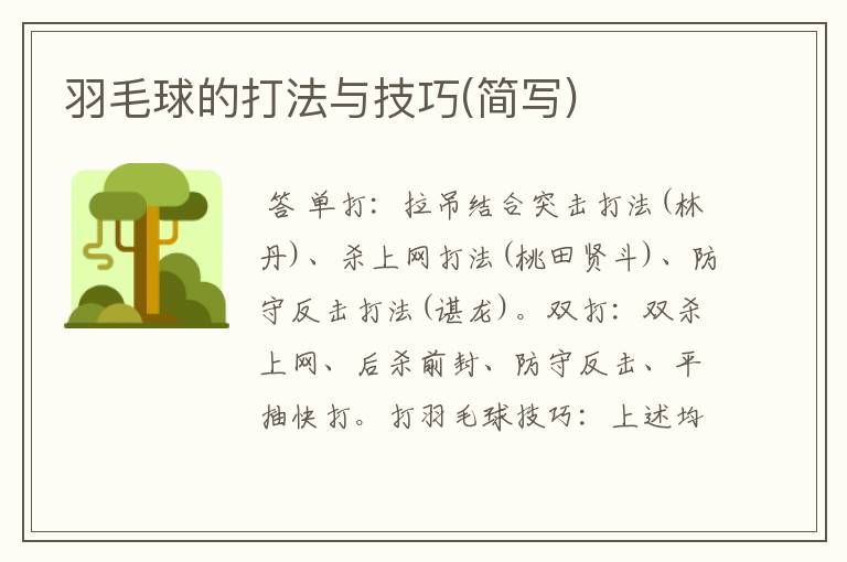 羽毛球的打法与技巧(简写)
