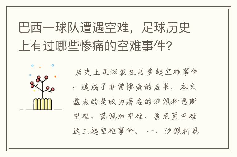 巴西一球队遭遇空难,足球历史上有过哪些惨痛的空难事件?
