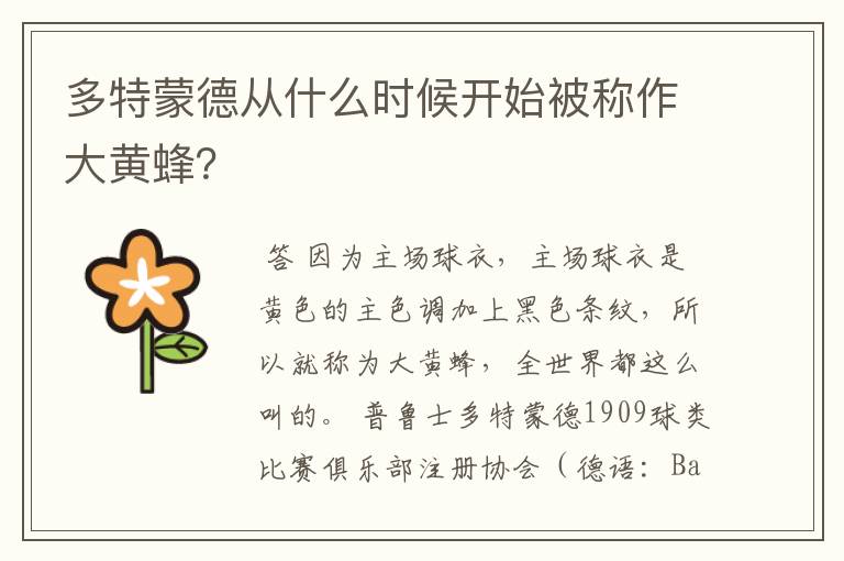多特蒙德从什么时候开始被称作大黄蜂?