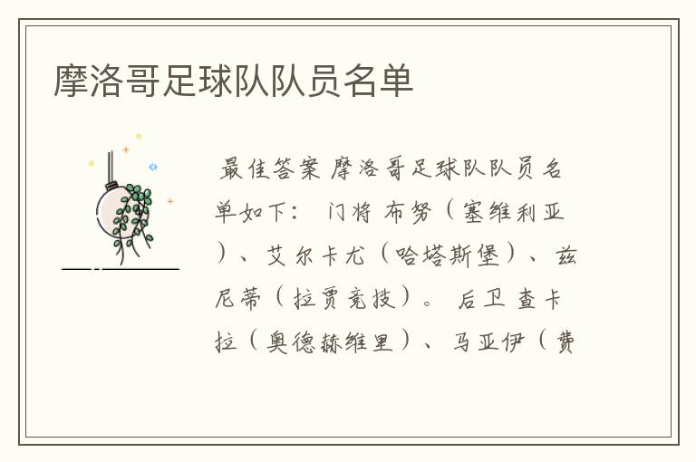 摩洛哥足球队队员名单