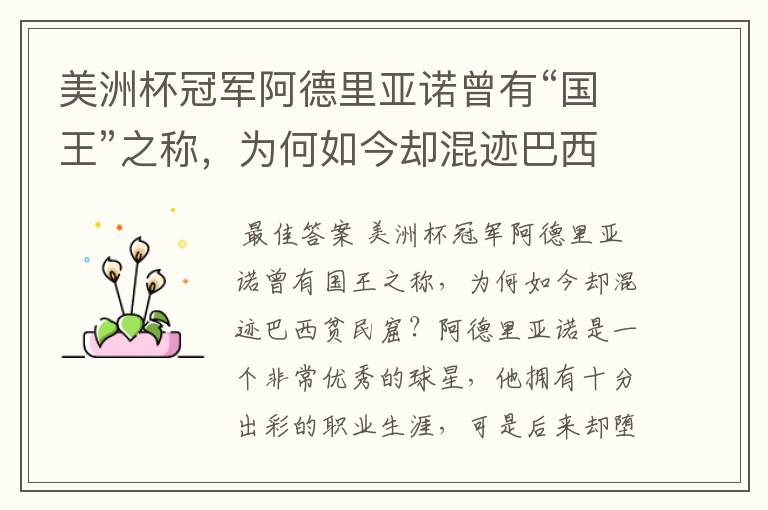 美洲杯冠军阿德里亚诺曾有“国王”之称，为何如今却混迹巴西贫民窟？