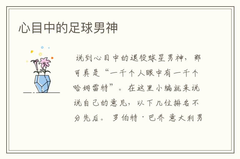 心目中的足球男神