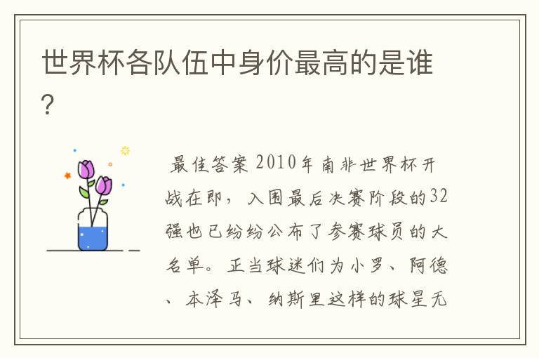 世界杯各队伍中身价最高的是谁?