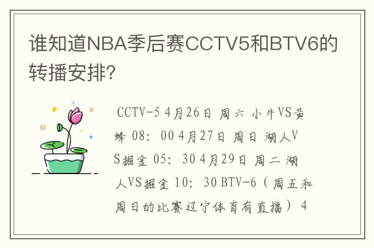 谁知道NBA季后赛CCTV5和BTV6的转播安排?
