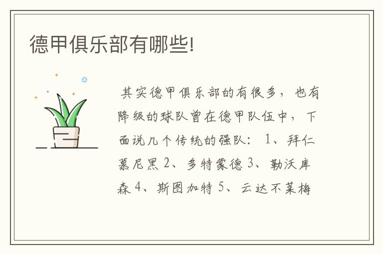 德甲俱乐部有哪些!