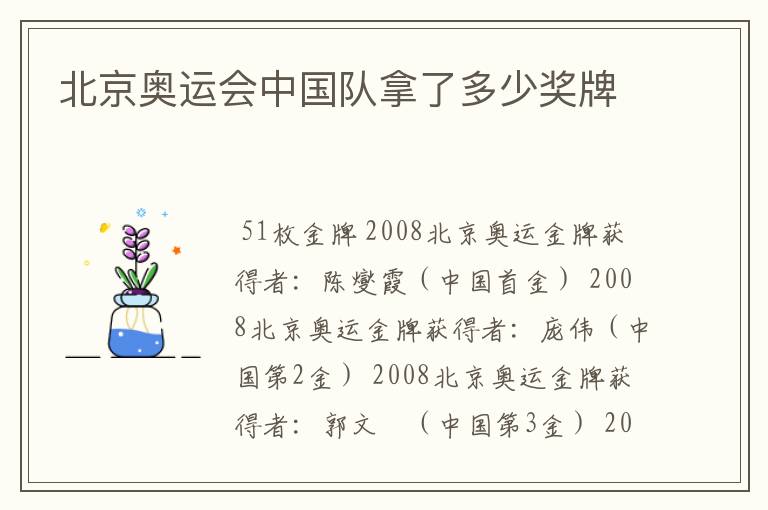 北京奥运会中国队拿了多少奖牌