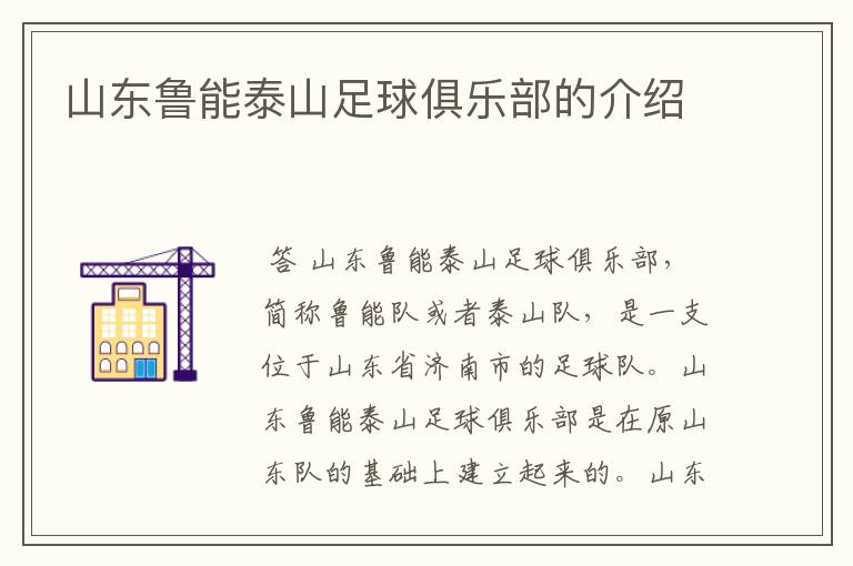 山东鲁能泰山足球俱乐部的介绍