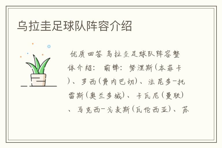 乌拉圭足球队阵容介绍