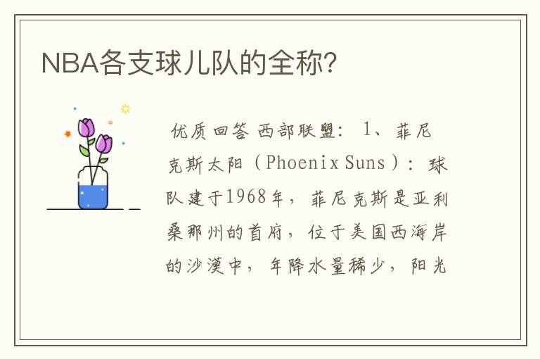 NBA各支球儿队的全称?