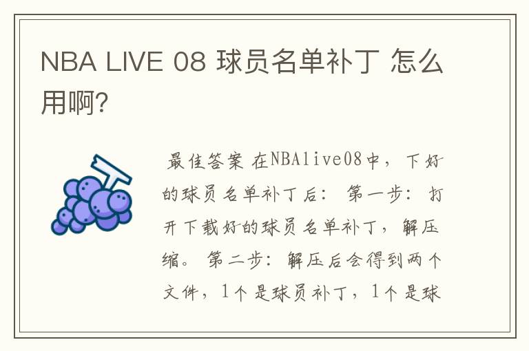 NBA LIVE 08 球员名单补丁 怎么用啊?