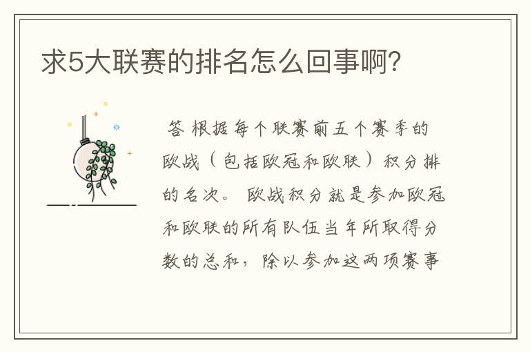 求5大联赛的排名怎么回事啊？