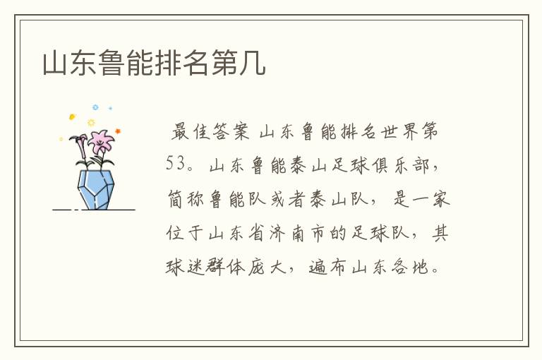 山东鲁能排名第几
