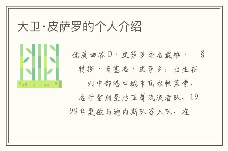 大卫·皮萨罗的个人介绍