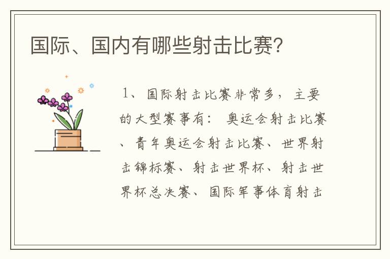 国际、国内有哪些射击比赛?