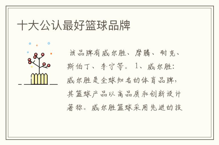 十大公认最好篮球品牌