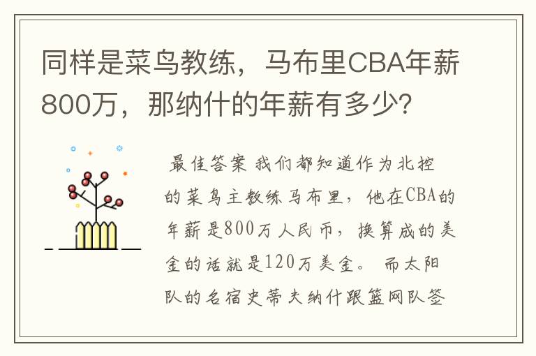 同样是菜鸟教练，马布里CBA年薪800万，那纳什的年薪有多少？
