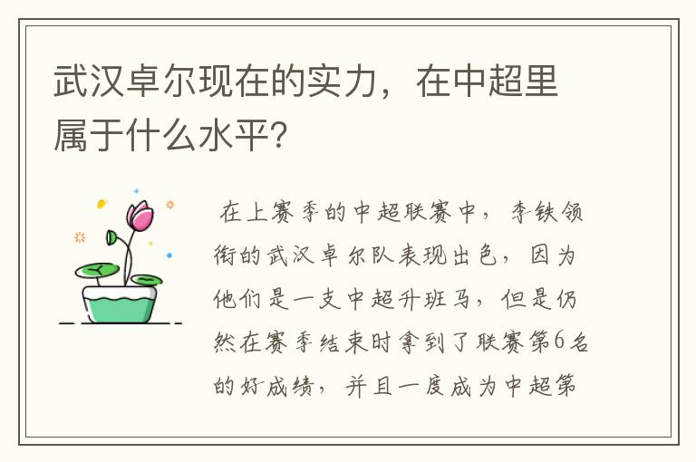 武汉卓尔现在的实力,在中超里属于什么水平?
