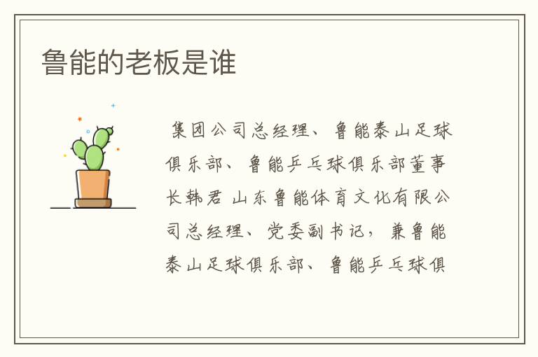 鲁能的老板是谁