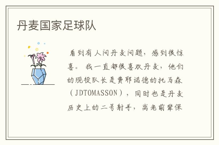 丹麦国家足球队