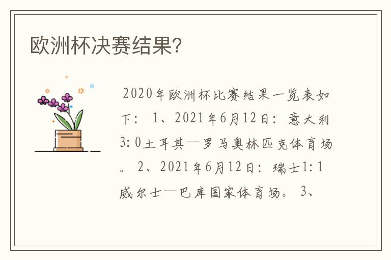 欧洲杯决赛结果?