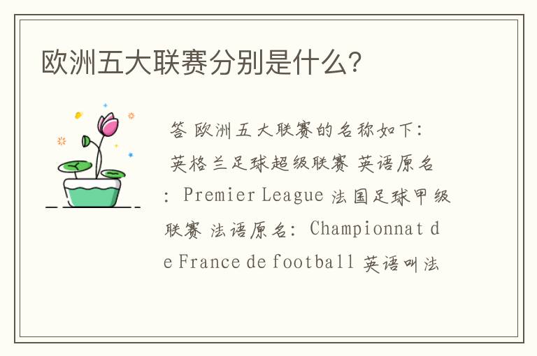 欧洲五大联赛分别是什么?