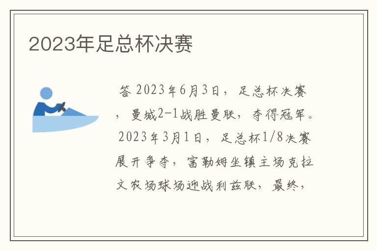 2023年足总杯决赛