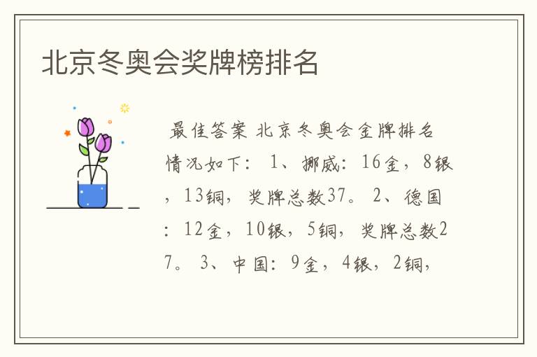 北京冬奥会奖牌榜排名