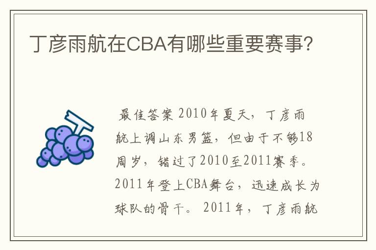 丁彦雨航在CBA有哪些重要赛事?