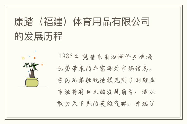 康踏(福建)体育用品有限公司的发展历程
