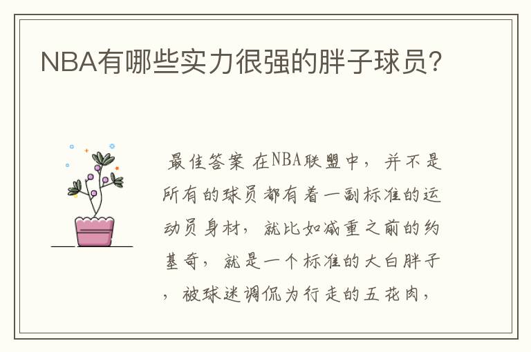 NBA有哪些实力很强的胖子球员?