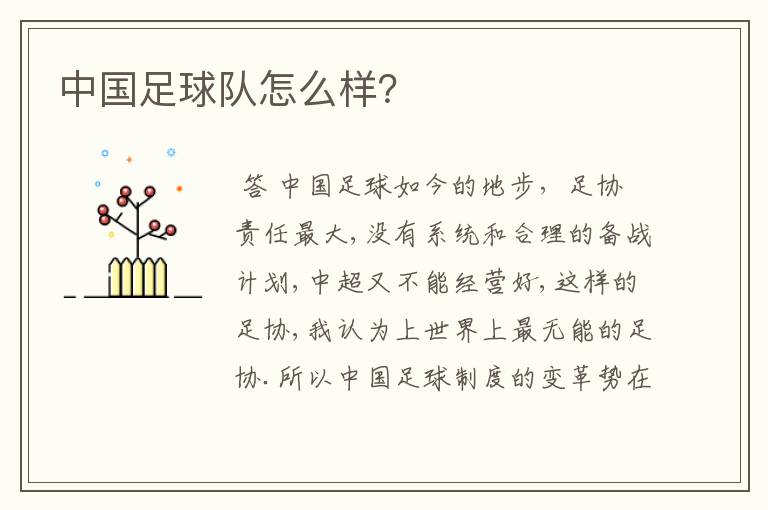 中国足球队怎么样?