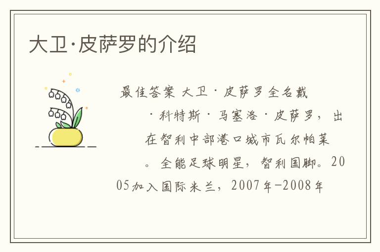大卫·皮萨罗的介绍