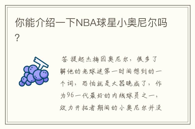 你能介绍一下NBA球星小奥尼尔吗?