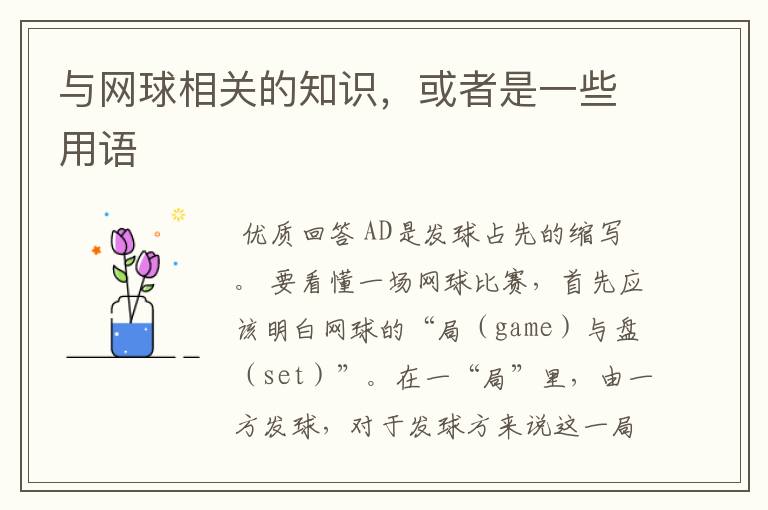 与网球相关的知识,或者是一些用语